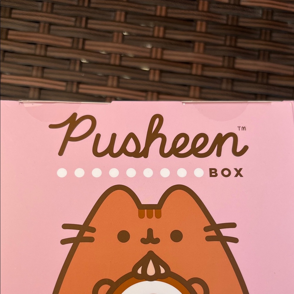 NWT Pusheen Pink and Brown Chocolate Vinyl Figure - Picture 7 of 7